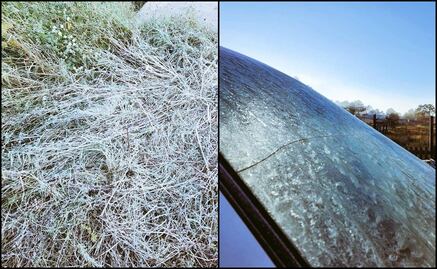 Reportan primera helada de la temporada otoño-invierno en Chihuahua 