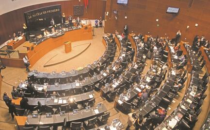 Tribunal Electoral ordena al Senado incluir a los legisladores independientes en las comisiones