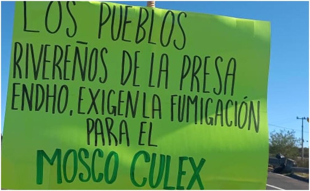 Los pobladores acusan que el mosco Culex ha invadido las comunidades cerca de la presa Endho en Hidalgo (26/11/2024). Foto: Especial