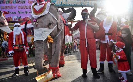 Elefantes vestidos como Santa Claus, reparten cubrebocas a niños en Tailandia