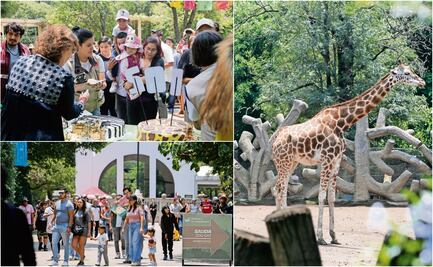 Crónica. Festejan el nacimiento del Zoológico de Chapultepec