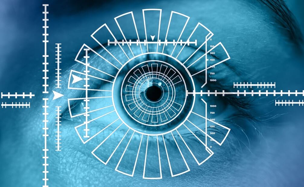 Los datos incluyen reconocimiento de cara, iris y huellas. Imagen Pixabay