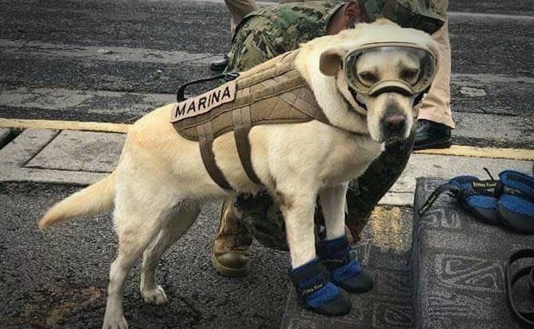 Foto: Archivo EL UNIVERSAL