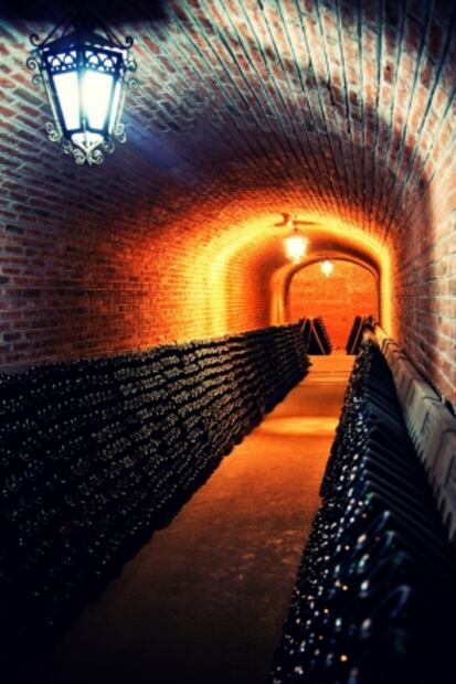 3 rutas turísticas para beber vino mexicano