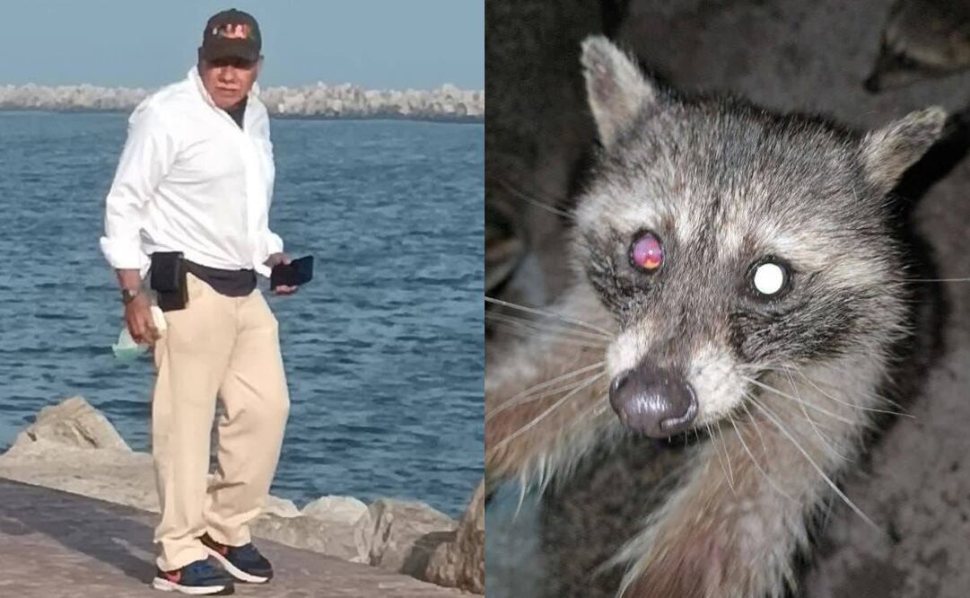 Captan a hombre lanzando ácido a mapaches en Playa Miramar. Foto: Captura