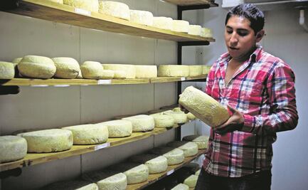 Publican plan para certificar a los quesos