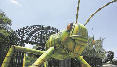 Festeja el Día del Niño en Insecta, en el Bosque de Chapultepec