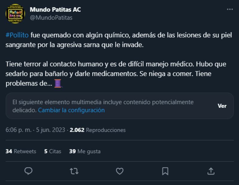 Foto: Captura (Twitter @MundoPatitas)