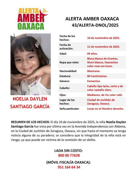 Ficha de búsqueda de la Noelia (11/11/2025). Foto: Especial