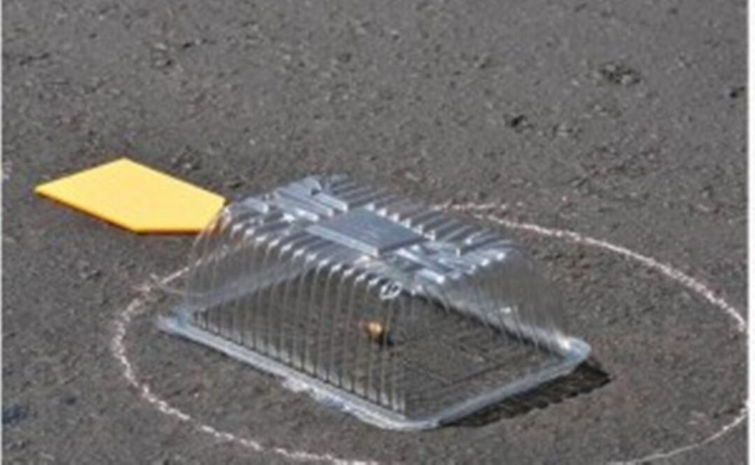 Foto: Archivo /EL UNIVERSAL