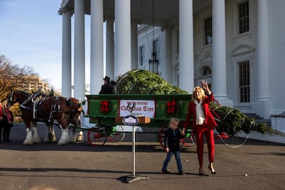 “Tremendo”, el abeto que resistió al huracán Helene y ahora es el árbol de Navidad de la Casa Blanca