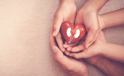 "¿Por qué decidí donar un riñón a una amiga?"
