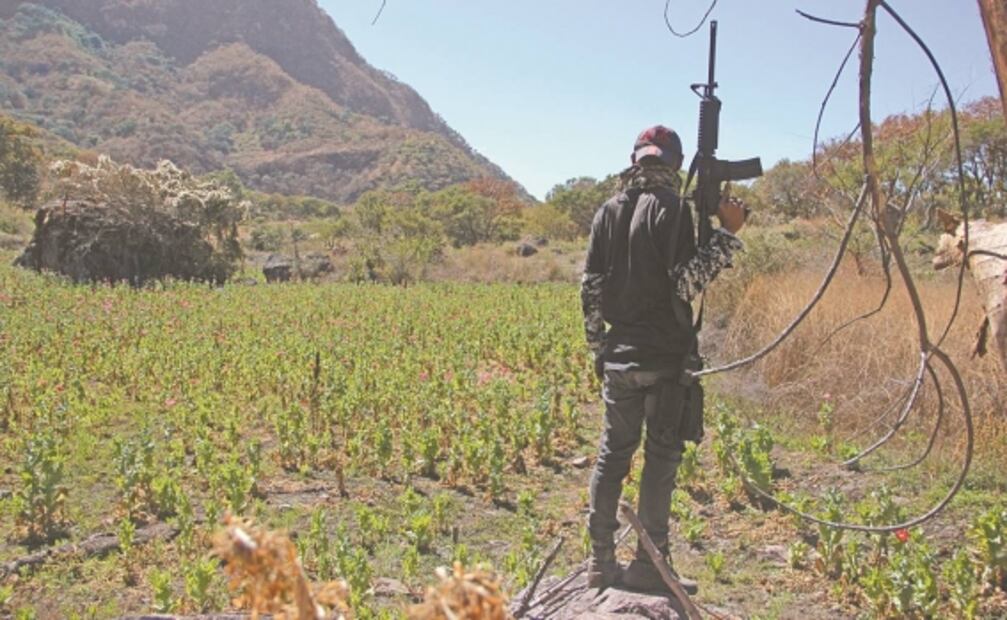 Impera violencia en sierra de Guerrero aun sin amapola