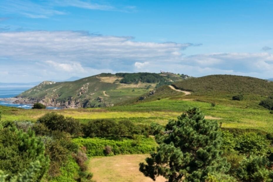 5 albariños de Rías Baixas que debes probar este verano