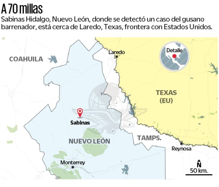 Caso detectado en Sabinas Hidalgo en Nuevo León
