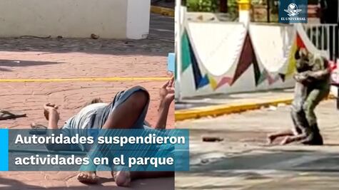 Héroe sin capa. Soldado salva a indigente que era atacado por enjambre de abejas