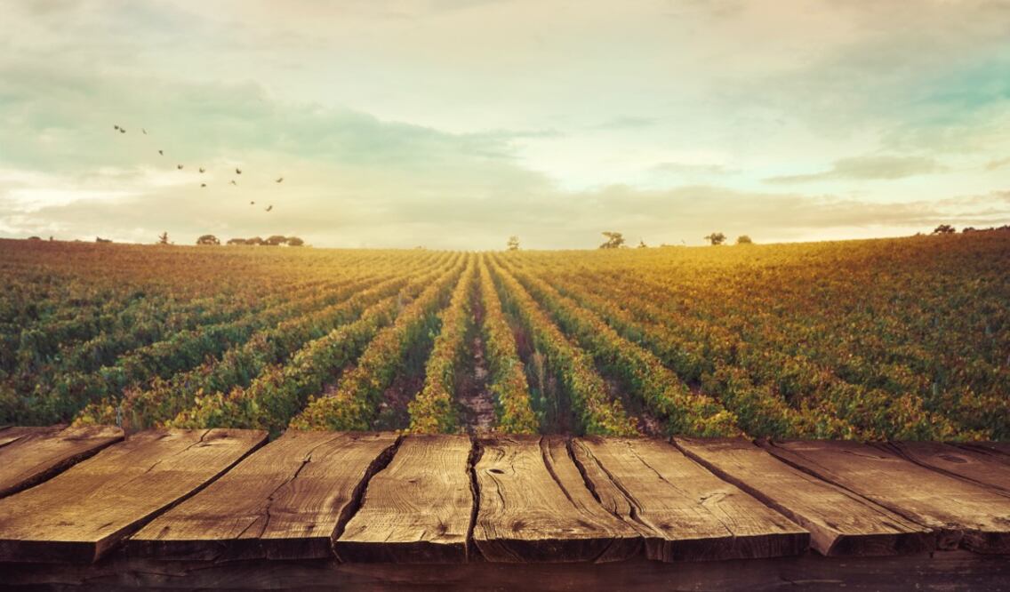 En esta ruta podrás hacer tu propio vino y descubrir joyas que no aparecen en los itinerarios comunes.(Foto: Istock)