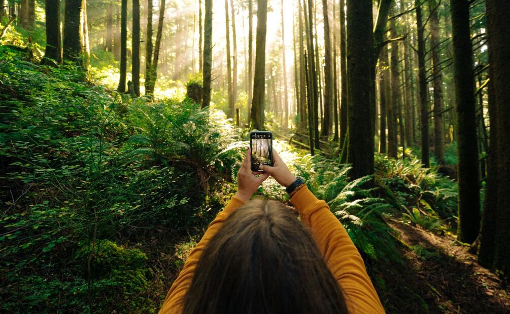 Fotografías con celular. Imagen: Unsplash