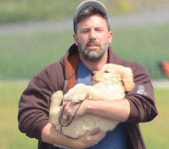  Así viven los perros de famosos: con más lujos que cualquier mortal