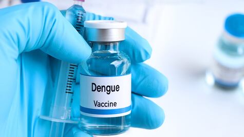 Dengue: sigilosa amenaza
