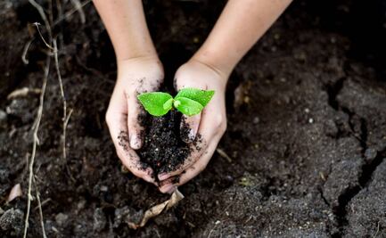 Banco de Desarrollo de América del Norte invertirá en proyectos para una economía verde