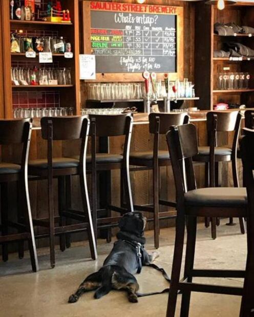 6 cervecerías artesanales que debes visitar en Toronto