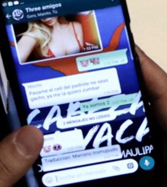 Senador chatea sobre sexoservicio en su escaño