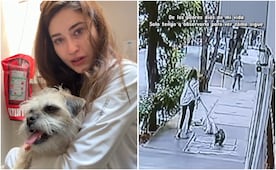 Fernanda Blaz revela estado de salud de su mascota tras caída; "De los peores días de mi vida", dice