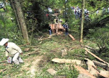 Proponen prisión preventiva oficiosa por devastación forestal y tala de árboles clandestina