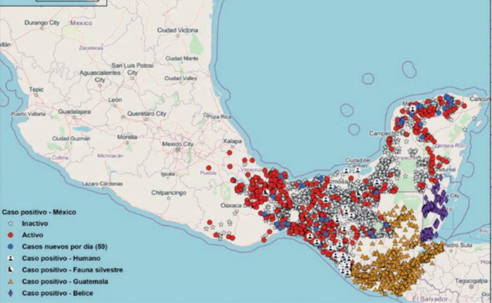 Zonas afectadas por gusano barrenador en la frontera sur del país (05/10/2025). Foto: SENASICA