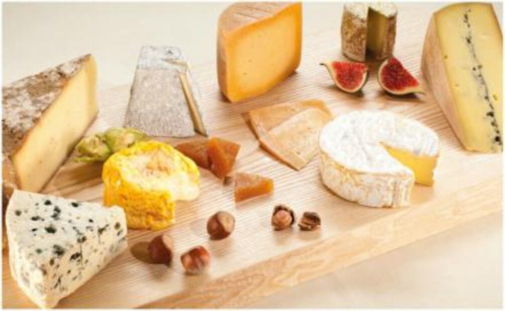 Descubre el delicioso mundo del queso