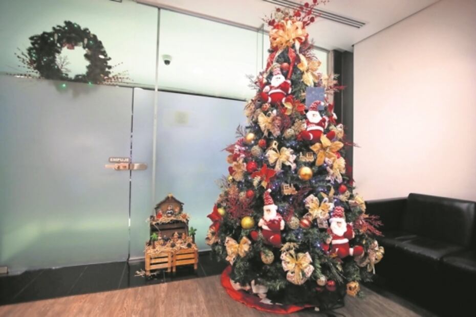 Austeridad marca la Navidad en el Senado