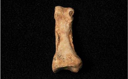 Homo Antecessor ya es "mayor de edad"