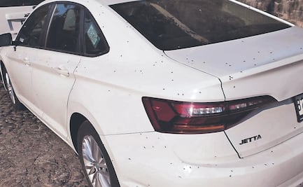 Moscas invaden zonas aledañas a El Capulín: vecinos