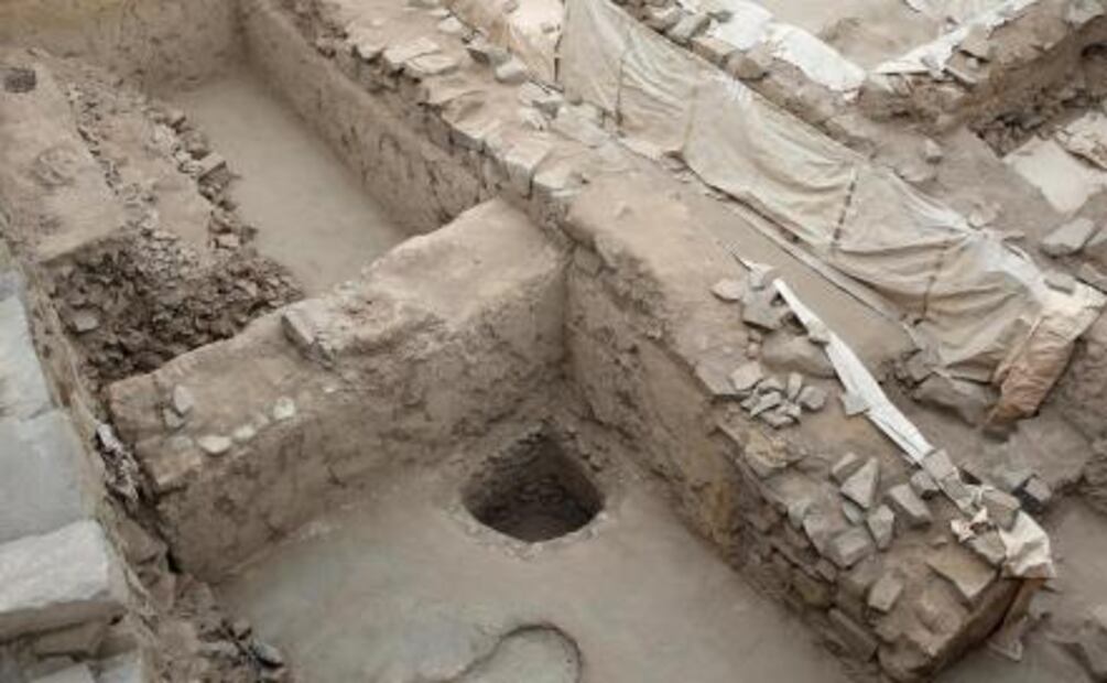 Encuentran cactus milenario en Perú