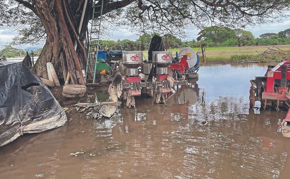 En 2024, tras el paso de John, el desbordamiento del río les inundó el pueblo; el año pasado, el huracán Erick destruyó sus huertas de limones y mangos. Foto: Especial