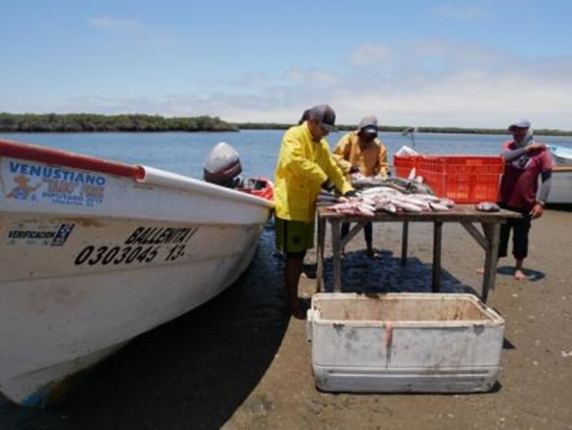 “Bad and ugly,” fishing subsidies