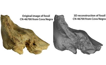 "Tina", la niña neandertal con síndrome de Down que vivió gracias al amor de su grupo