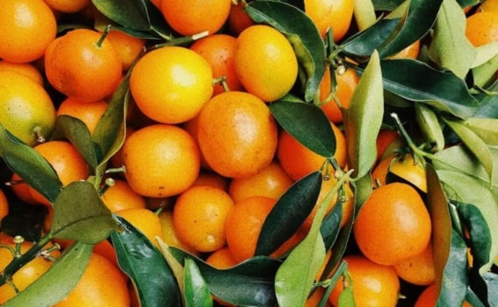 Estos son los precios de las frutas de temporada