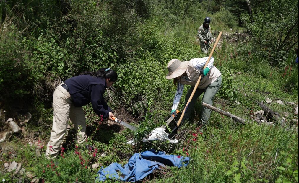 La señora Vanesa, mamá de Amelí, encabezó la búsqueda de su hija en el Pico del Águila; estuvo acompañada por elementos de la Sedena, Guardia Nacional, SSC y activistas, el viernes 25 de julio de 2025. Foto: Varlos Mejía/EL UNIVERSAL