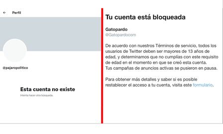 Twitter bloquea cuentas de los medios Animal Político y Gatopardo