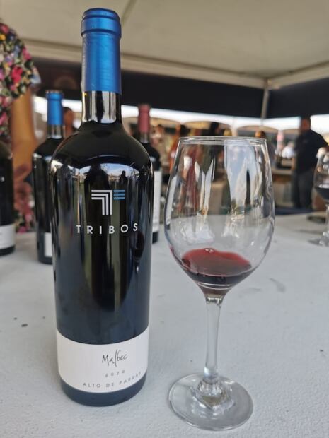 Lo mejor de Sabor es Polanco 