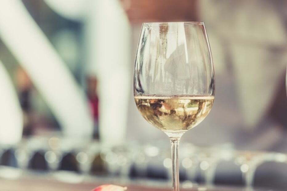 ESPECIAL DE ATUN: ¿Con que vinos, cerveza y drinks puedes maridar este pescado?