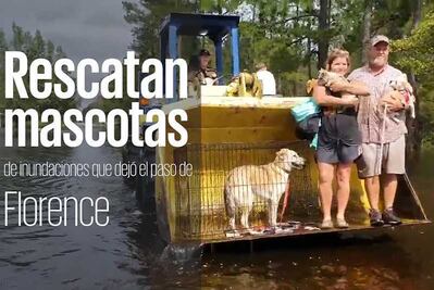 Rescatan mascotas de inundaciones que dejó el paso de Florence