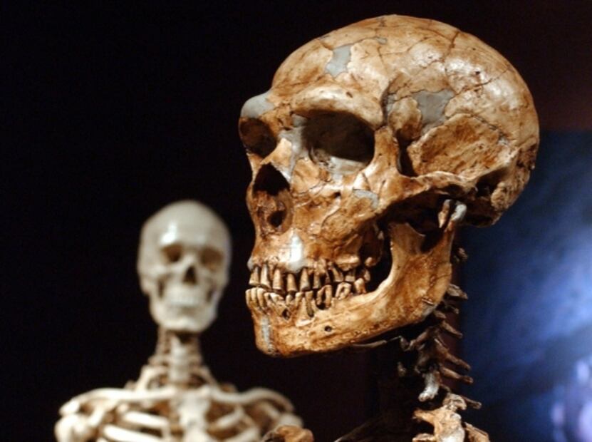 Los neandertales y los humanos modernos se cruzaron con mayor normalidad de la pensada