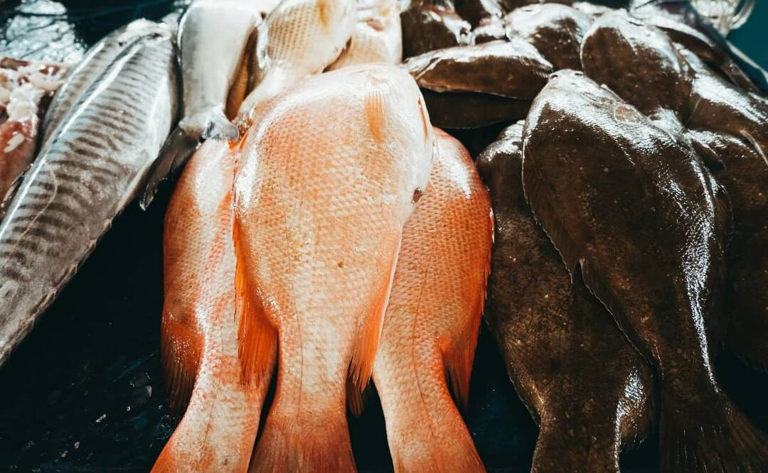 Foto: Unsplash.
