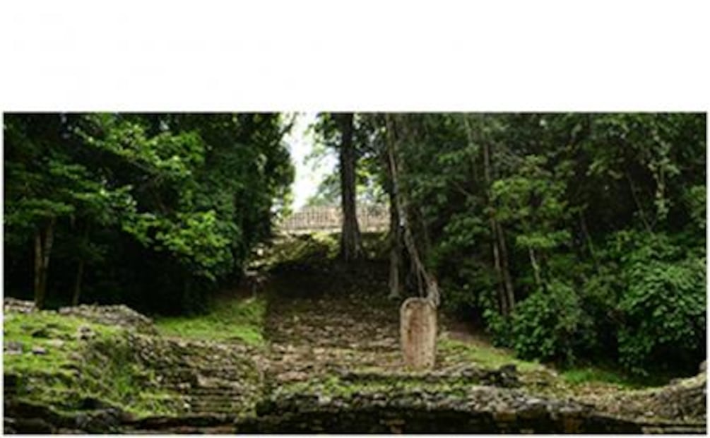 A más de un siglo, retoman exploración arqueológica de Yaxchilán