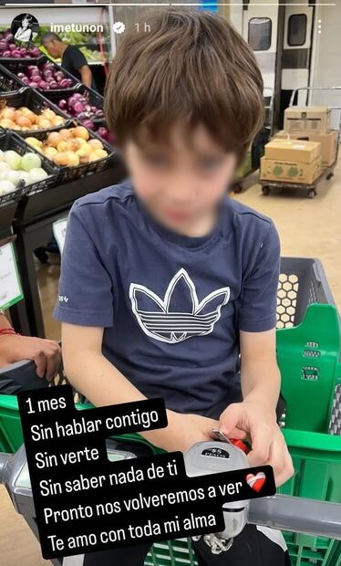 José Julián sigue viviendo con su abuela, la actriz Maribel Guardia. Su madre, Imelda Garza, comparte en redes que lo extraña.
