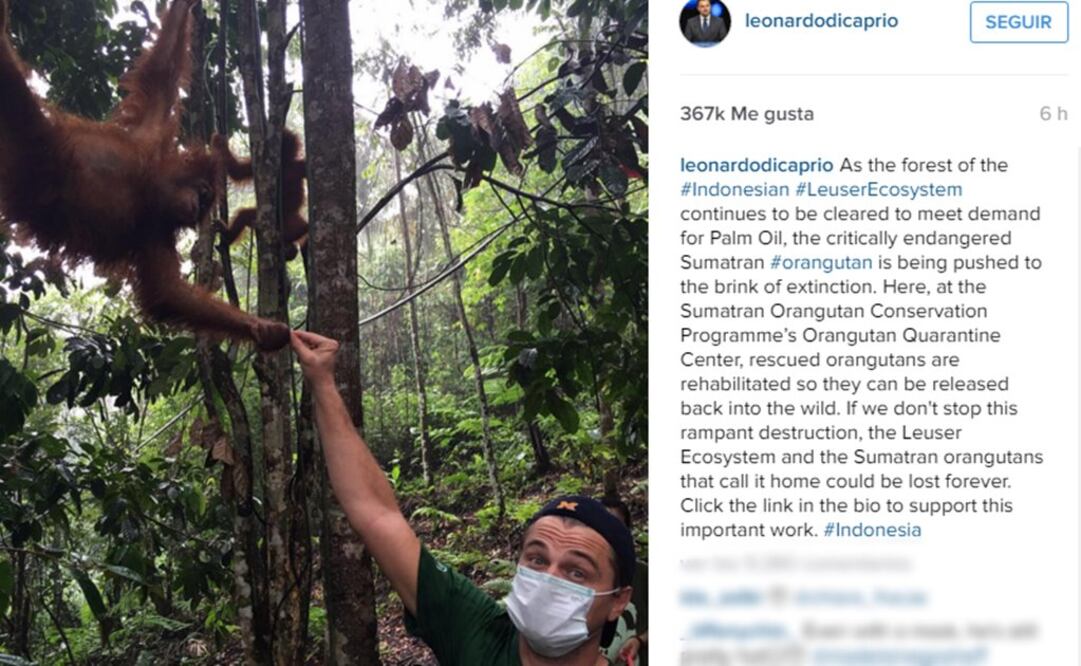 Foto: Tomada del Instagram de Leonardo DiCaprio