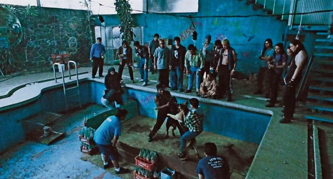 Fotografía de la locación. Alta Vista Films, from Amores Perros (MACK, 2025). Courtesy of Alta Vista Films and MACK